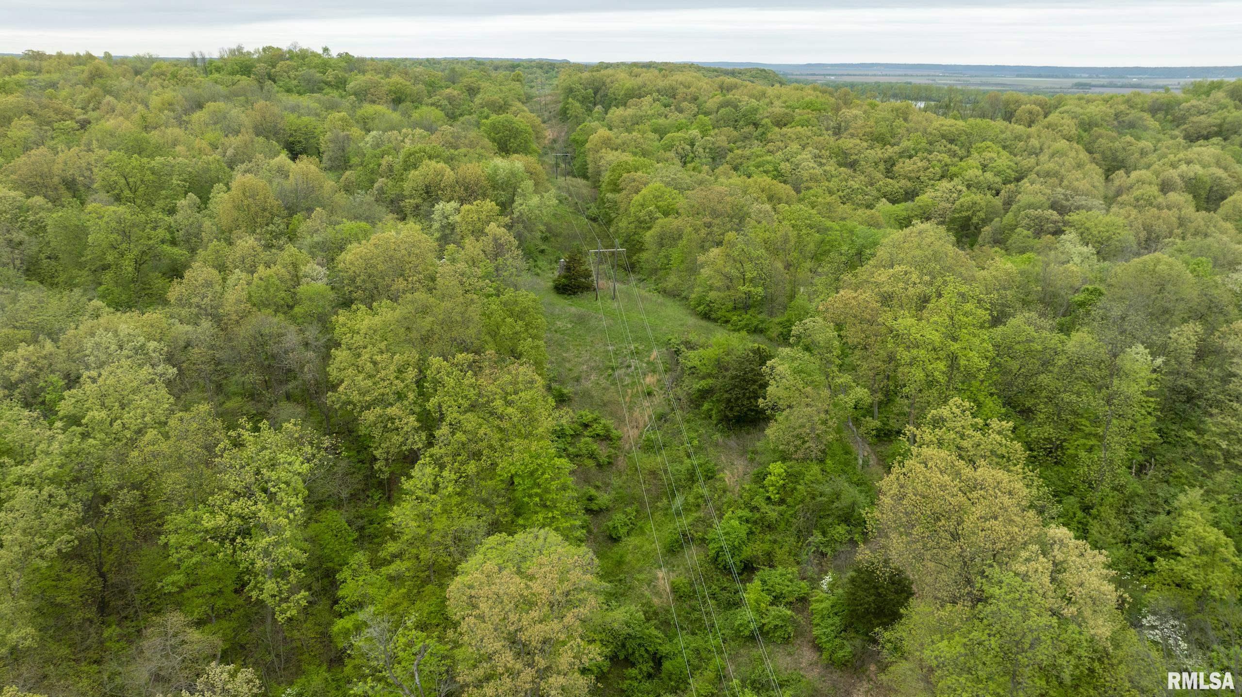 0 Bee Creek Road Pearl, IL 62361 - Photo 29 of 37