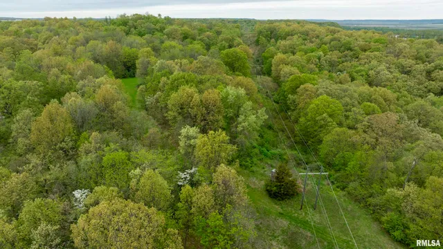 $332,455 | 0 Bee Creek Road, Pearl, IL 62361