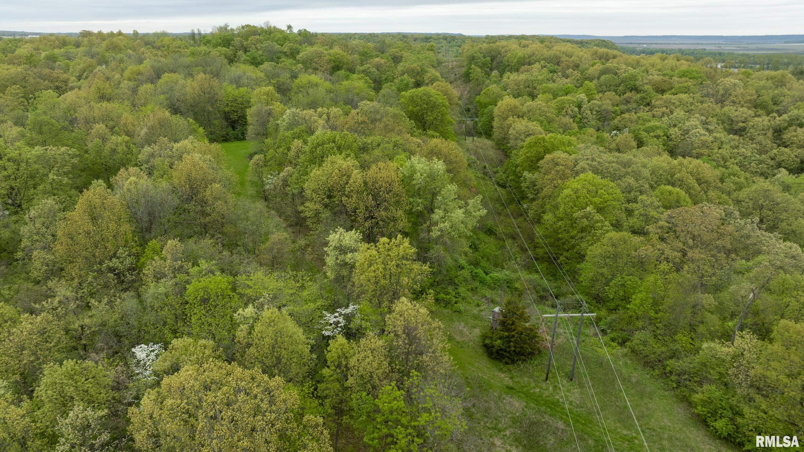 0 Bee Creek Road Pearl, IL 62361 - Photo 30 of 37