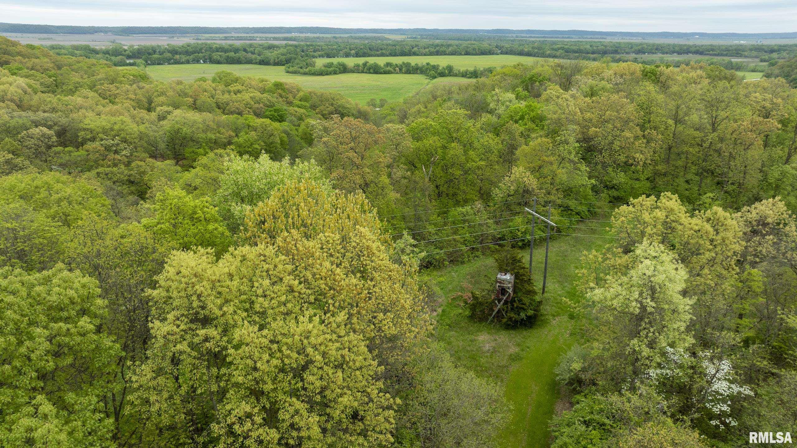 0 Bee Creek Road Pearl, IL 62361 - Photo 3 of 37