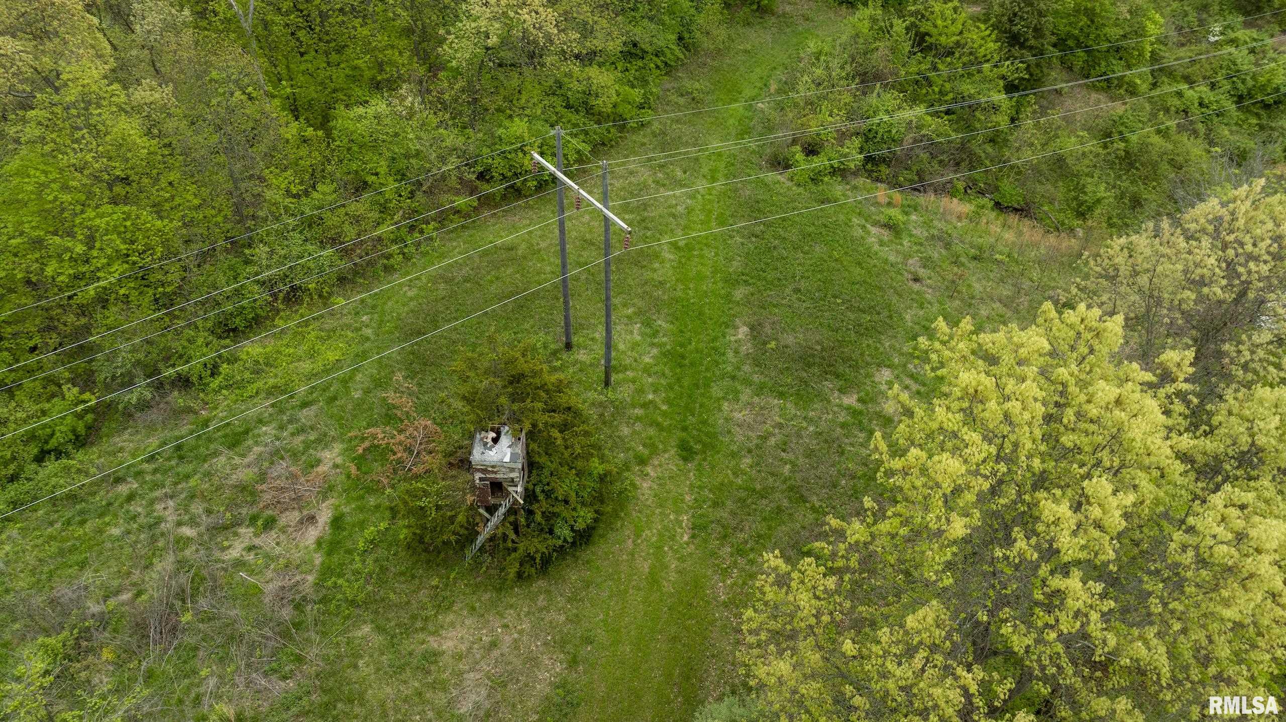 0 Bee Creek Road Pearl, IL 62361 - Photo 32 of 37