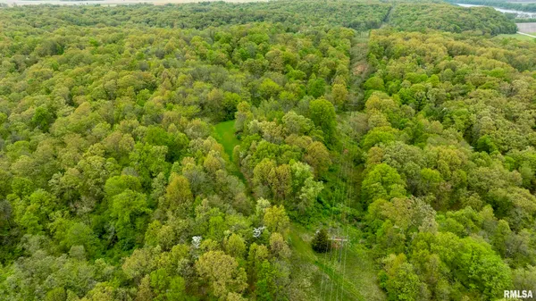 $332,455 | 0 Bee Creek Road, Pearl, IL 62361