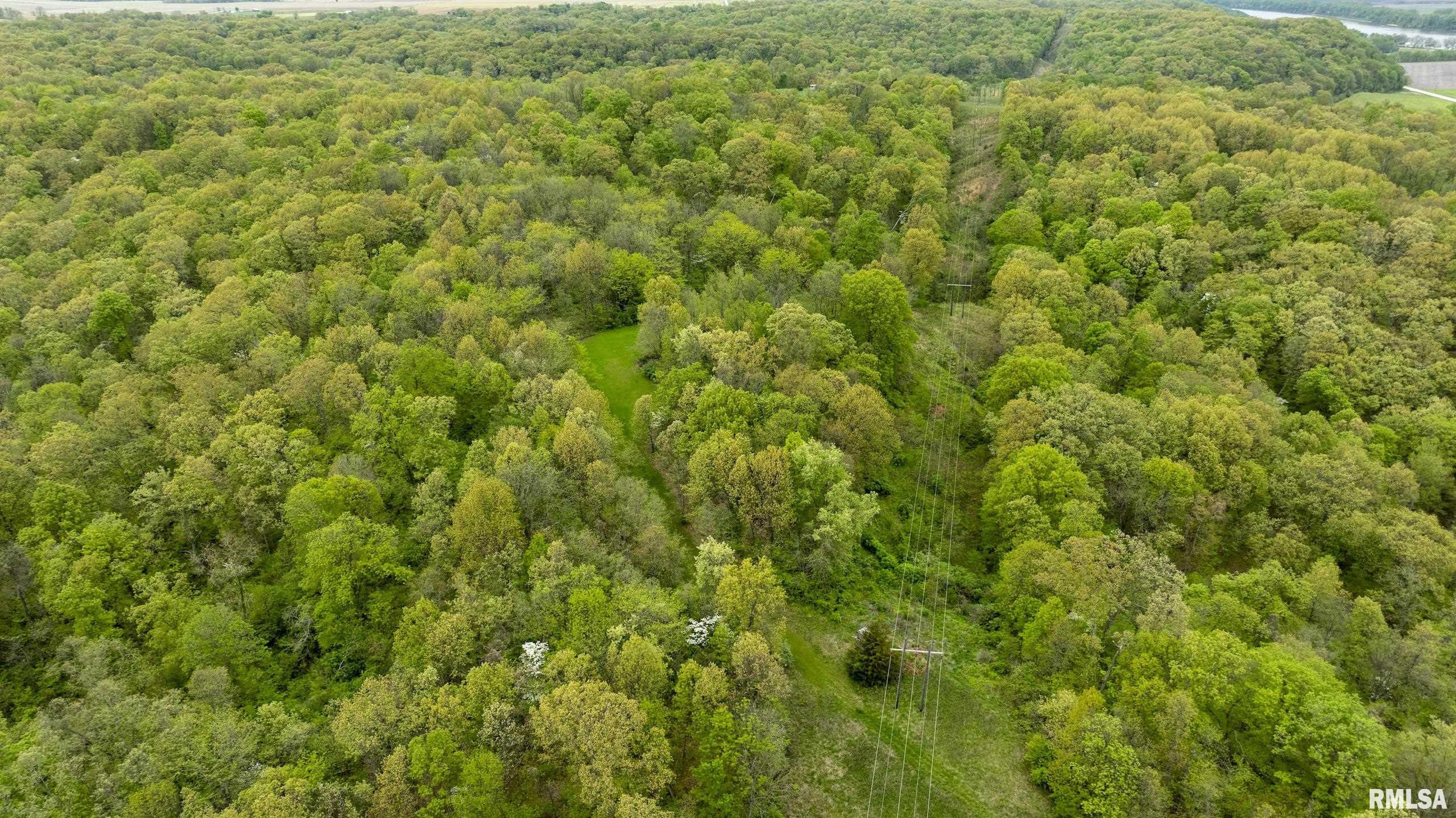 0 Bee Creek Road Pearl, IL 62361 - Photo 33 of 37