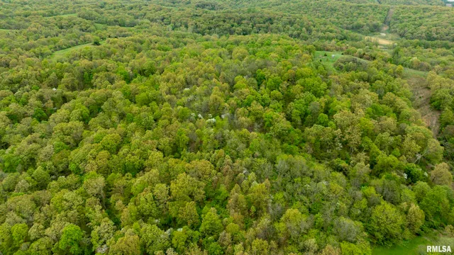 $332,455 | 0 Bee Creek Road, Pearl, IL 62361