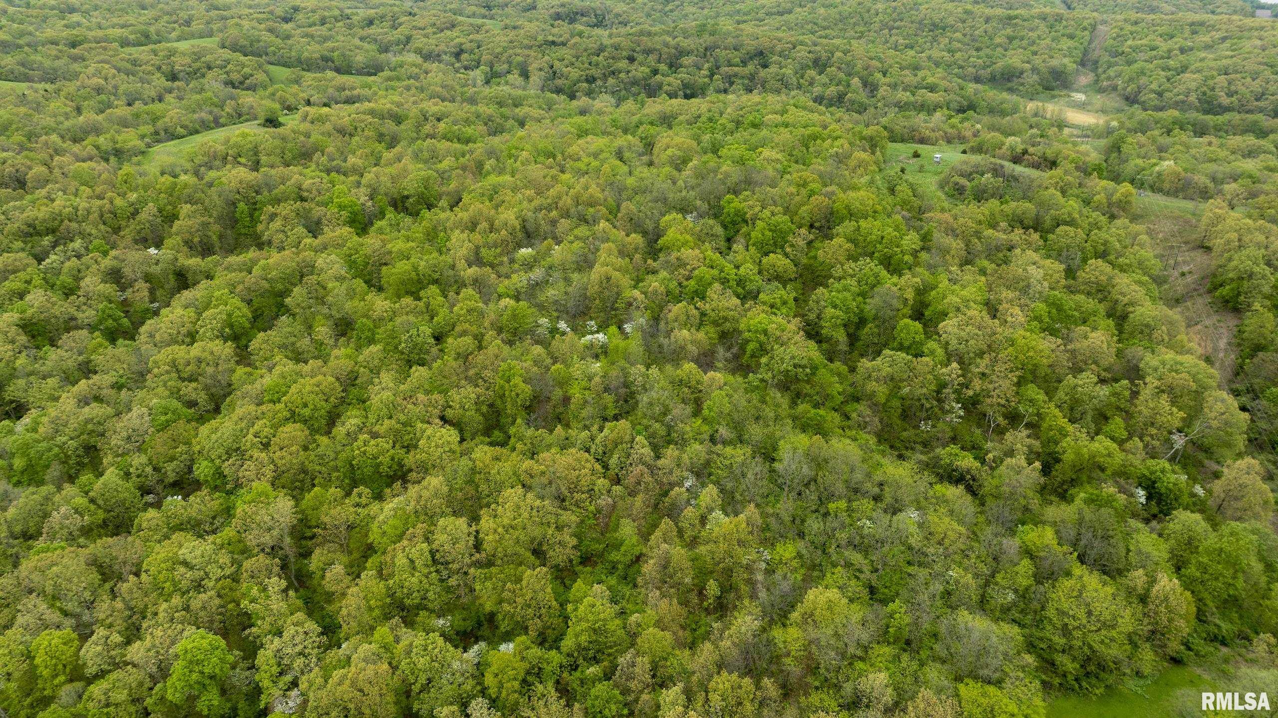 0 Bee Creek Road Pearl, IL 62361 - Photo 34 of 37