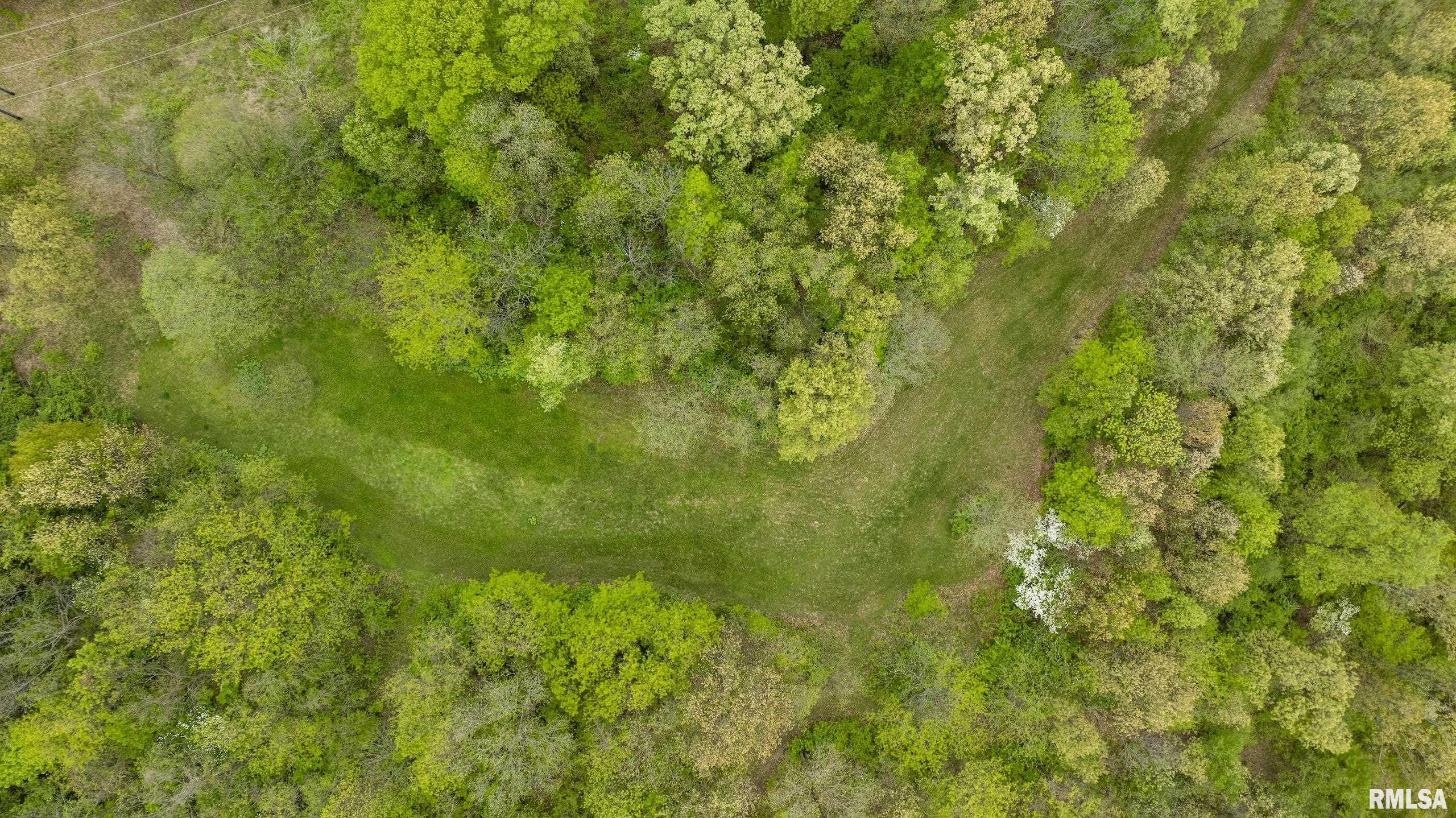 0 Bee Creek Road Pearl, IL 62361 - Photo 35 of 37