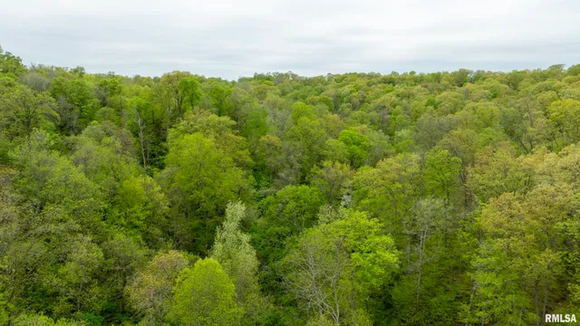 $332,455 | 0 Bee Creek Road, Pearl, IL 62361