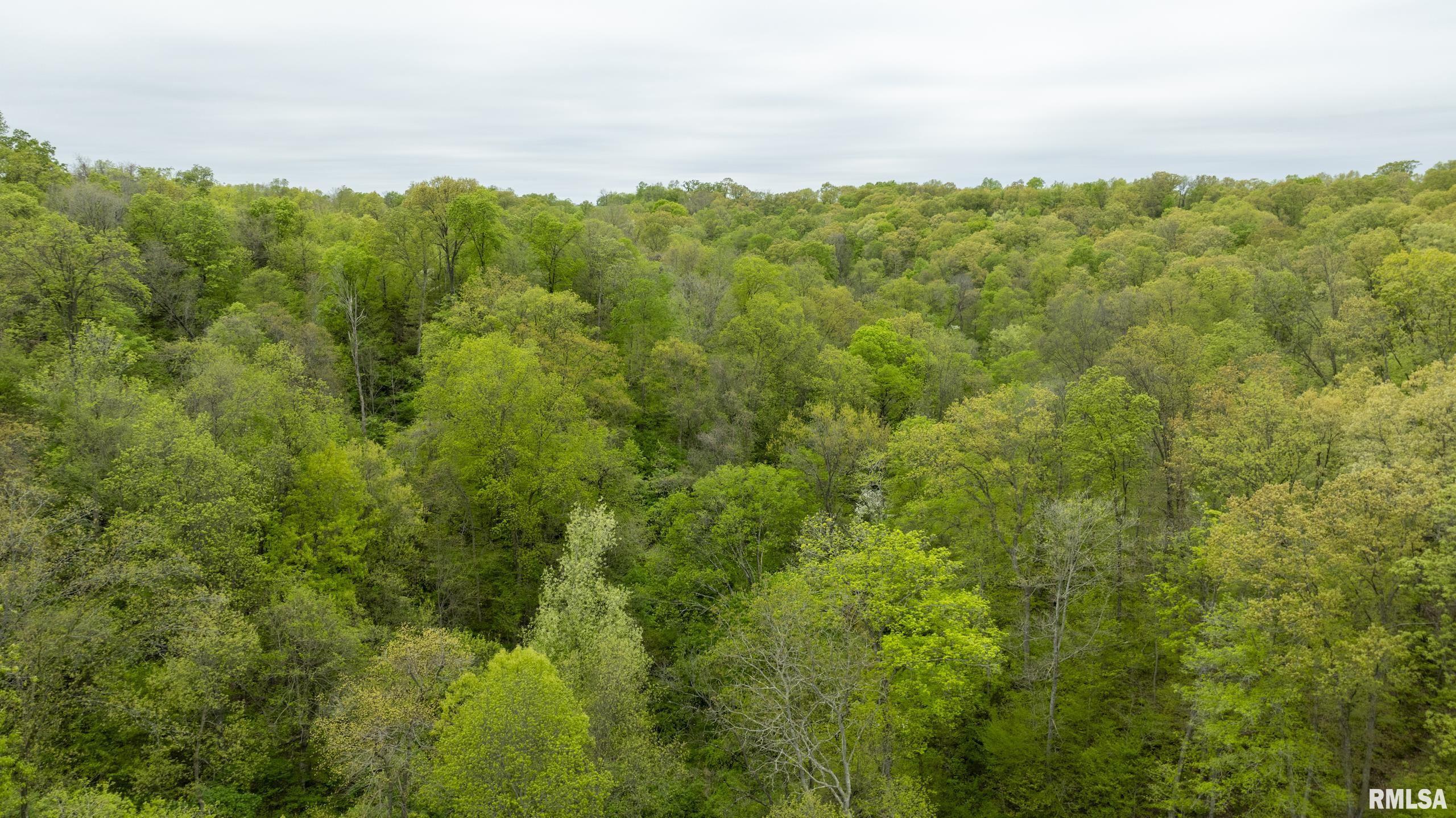 0 Bee Creek Road Pearl, IL 62361 - Photo 36 of 37