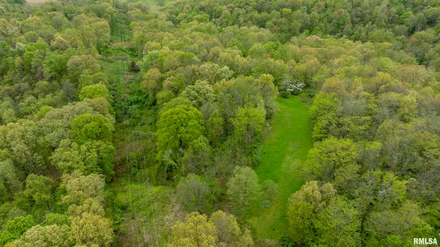 $332,455 | 0 Bee Creek Road, Pearl, IL 62361