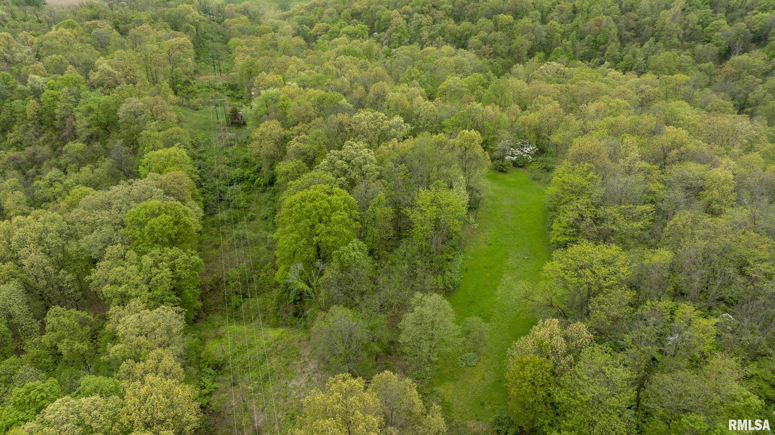 0 Bee Creek Road Pearl, IL 62361 - Photo 4 of 37