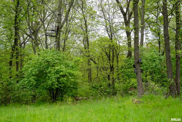 $332,455 | 0 Bee Creek Road, Pearl, IL 62361