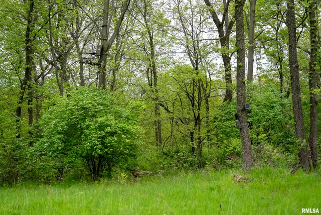 $332,455 | 0 Bee Creek Road, Pearl, IL 62361