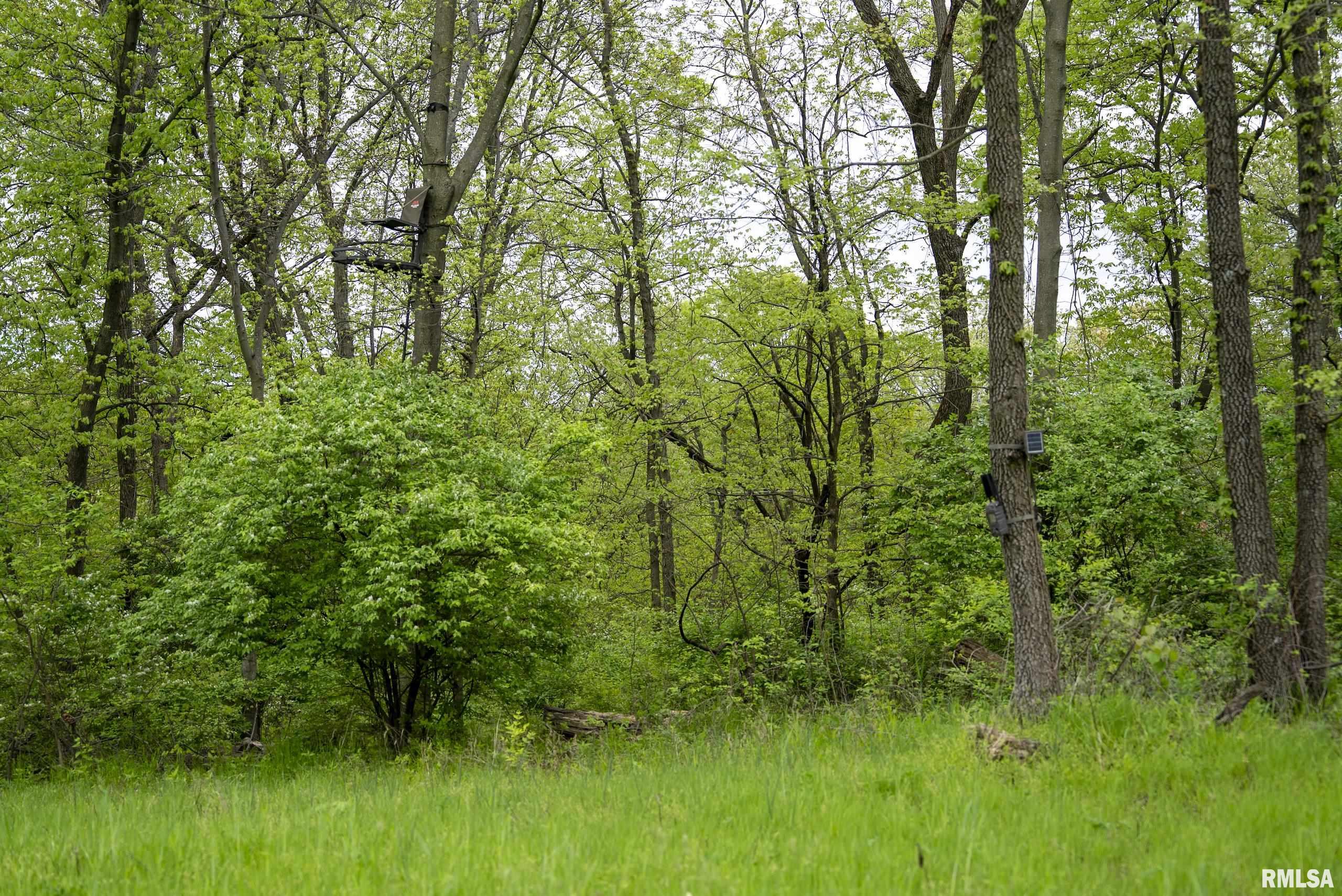 0 Bee Creek Road Pearl, IL 62361 - Photo 5 of 37