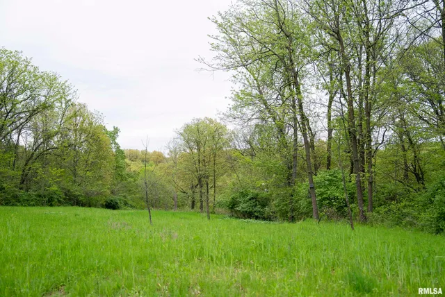 $332,455 | 0 Bee Creek Road, Pearl, IL 62361