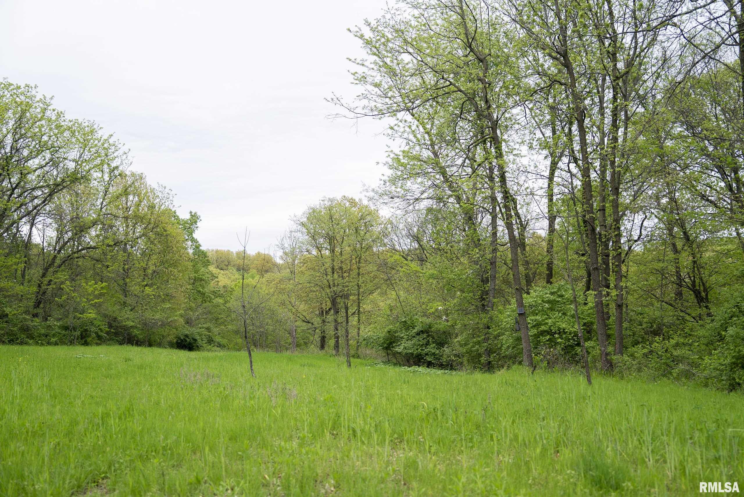 0 Bee Creek Road Pearl, IL 62361 - Photo 6 of 37