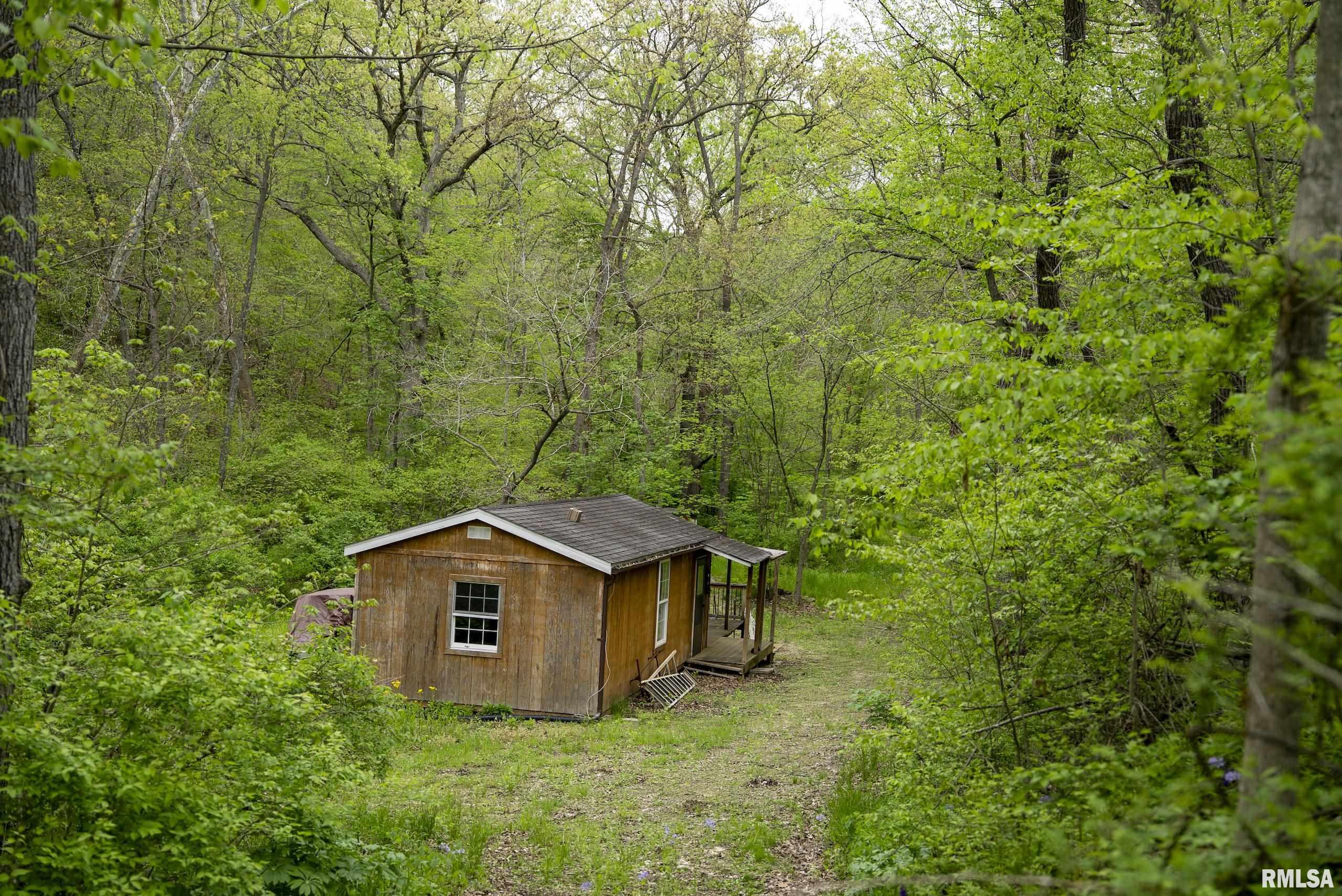 0 Bee Creek Road Pearl, IL 62361 - Photo 7 of 37