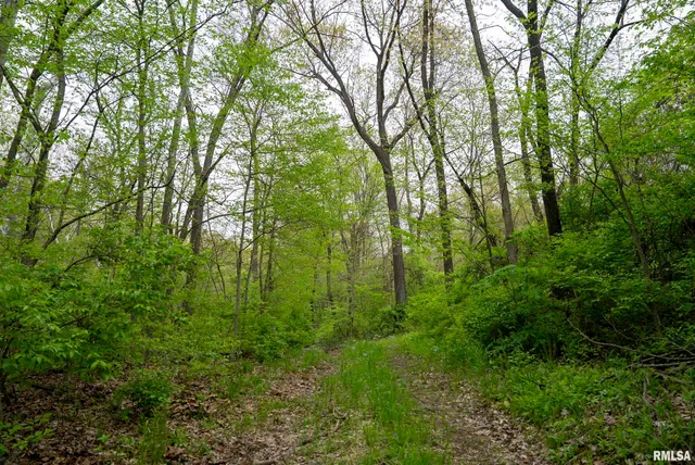 $332,455 | 0 Bee Creek Road, Pearl, IL 62361