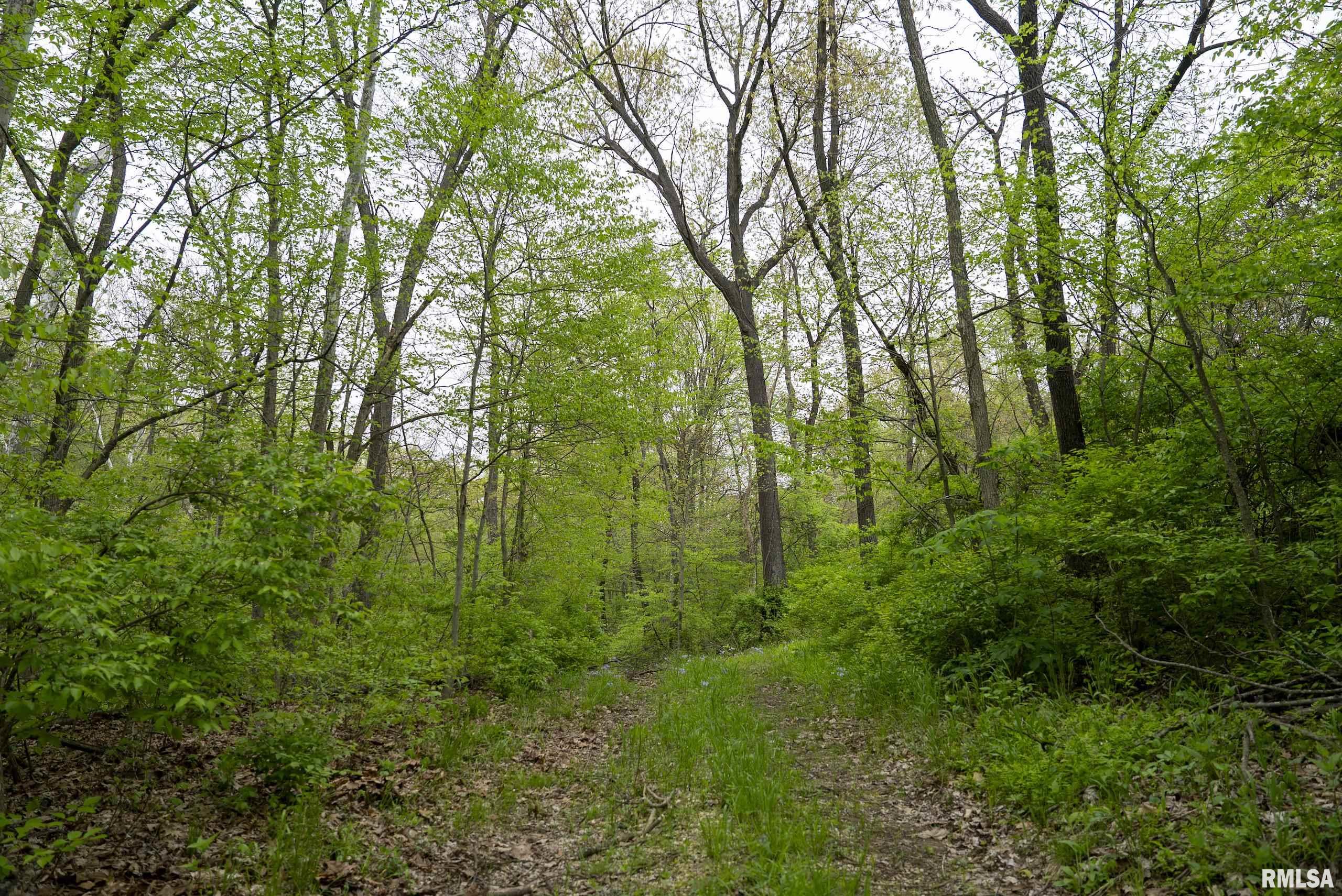 0 Bee Creek Road Pearl, IL 62361 - Photo 8 of 37