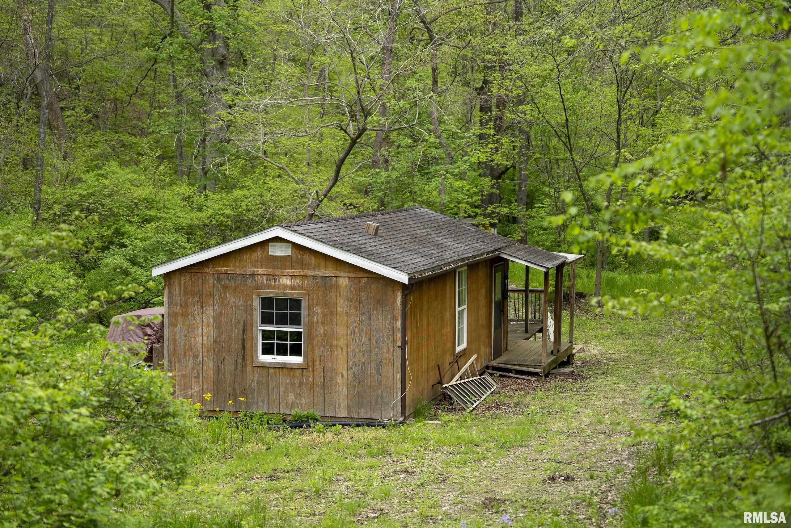 0 Bee Creek Road Pearl, IL 62361 - Photo 9 of 37