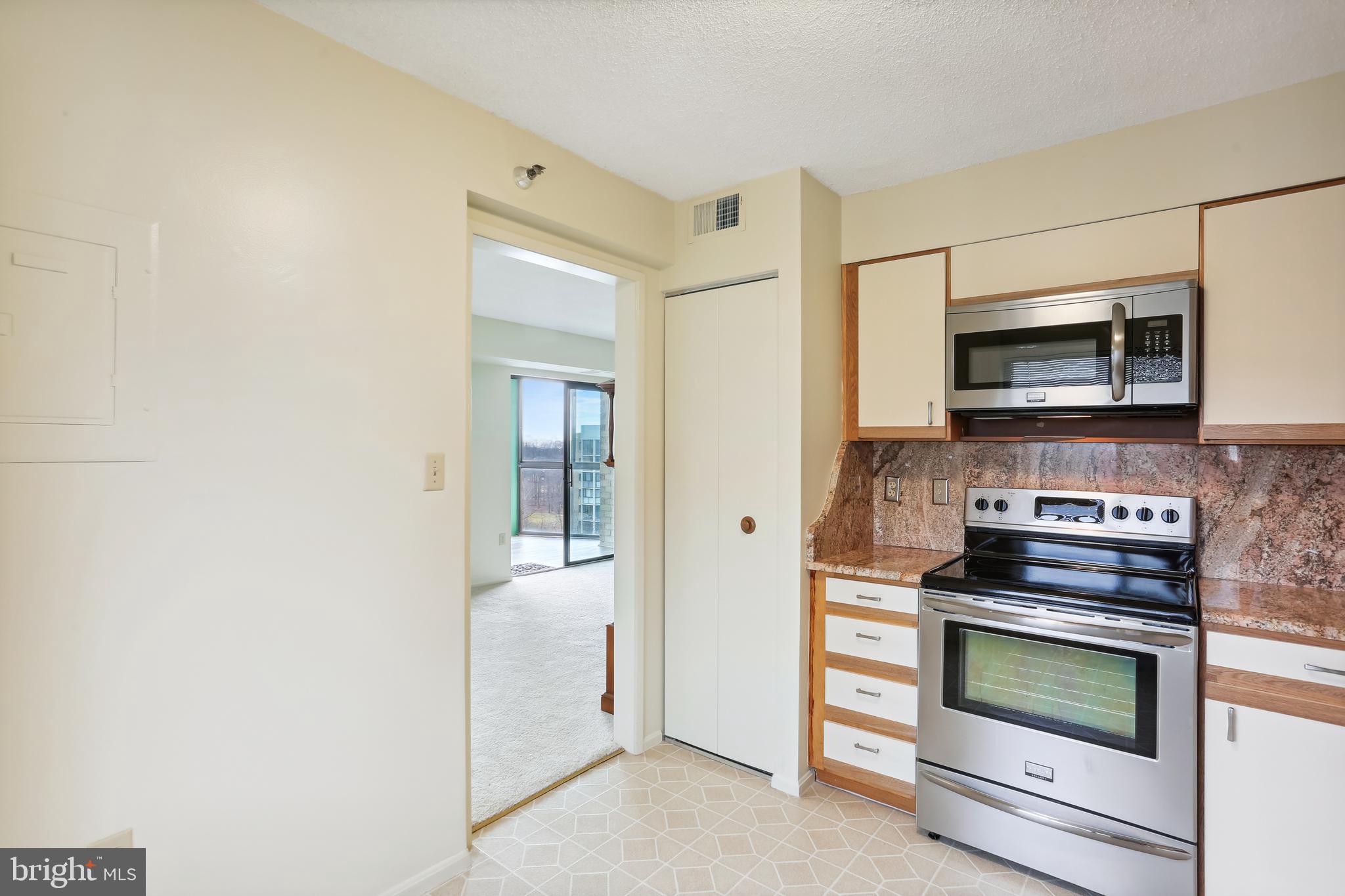 15101 Interlachen Drive, Unit 11025 Silver Spring, MD 20906 - Photo 11 of 60