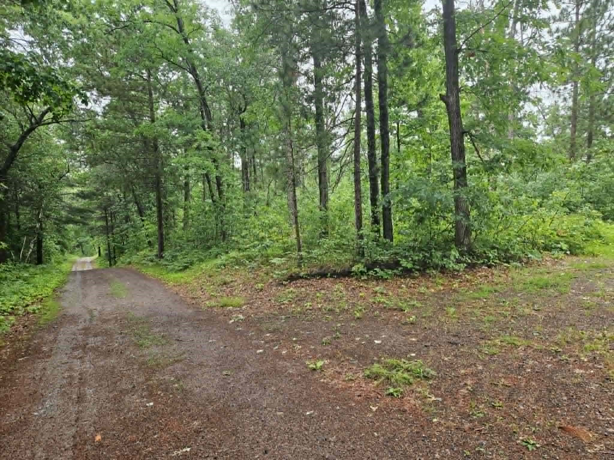 Lot 1 Hilly Lane Spooner, WI 54801 - Photo 4 of 4