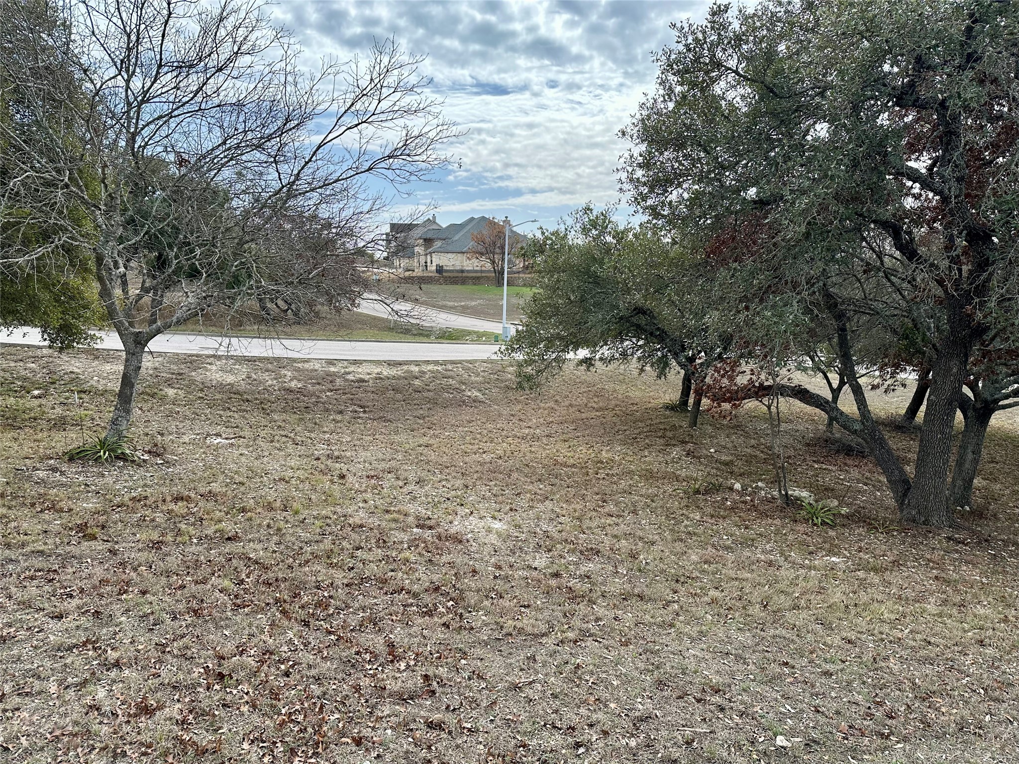 Lot 24 Andy's Point Burnet, TX 78611 - Photo 2 of 15