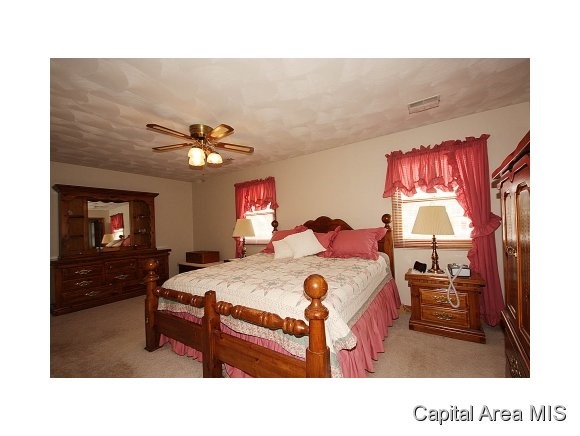 6429 Weeping Willow Lane Rochester, IL 62563 - Photo 16 of 24 Gallery Image 16