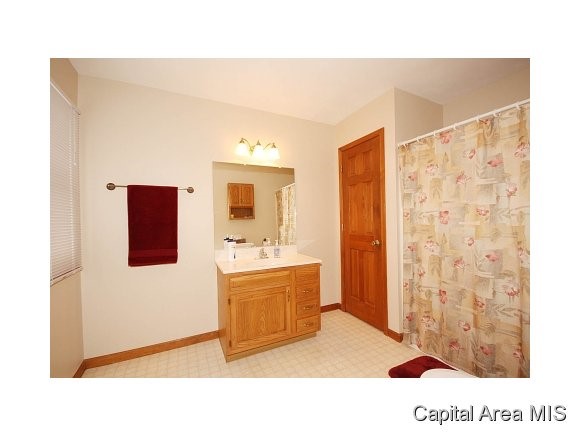 6429 Weeping Willow Lane Rochester, IL 62563 - Photo 18 of 24 Gallery Image 18