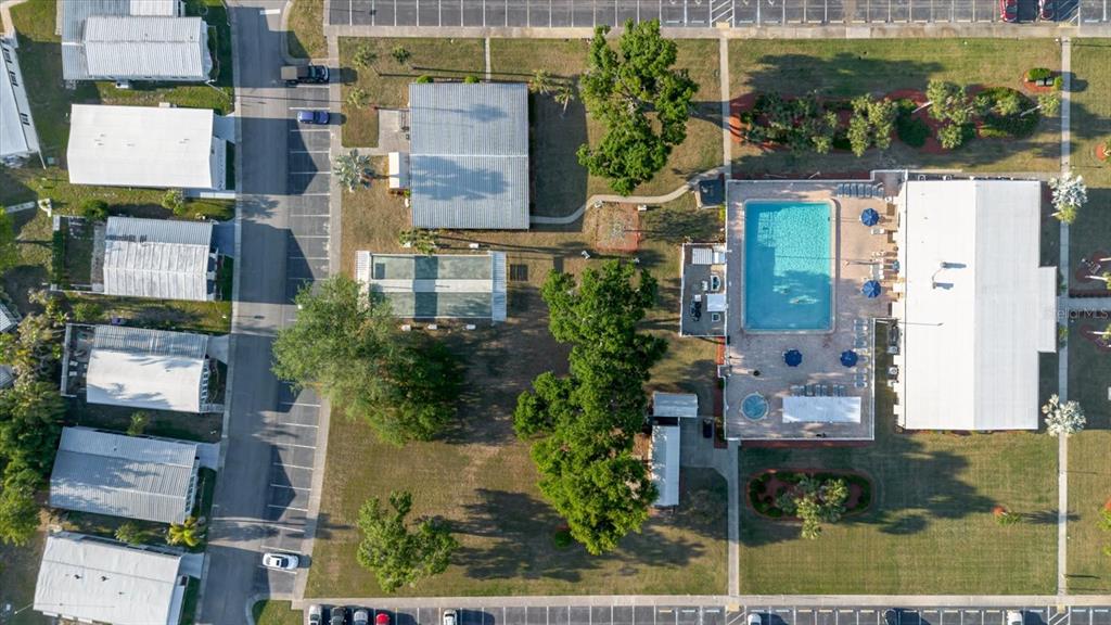 372 Cobia Way Oldsmar, FL 34677 - Photo 49 of 52