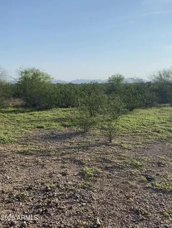 a view of a field with an ocean