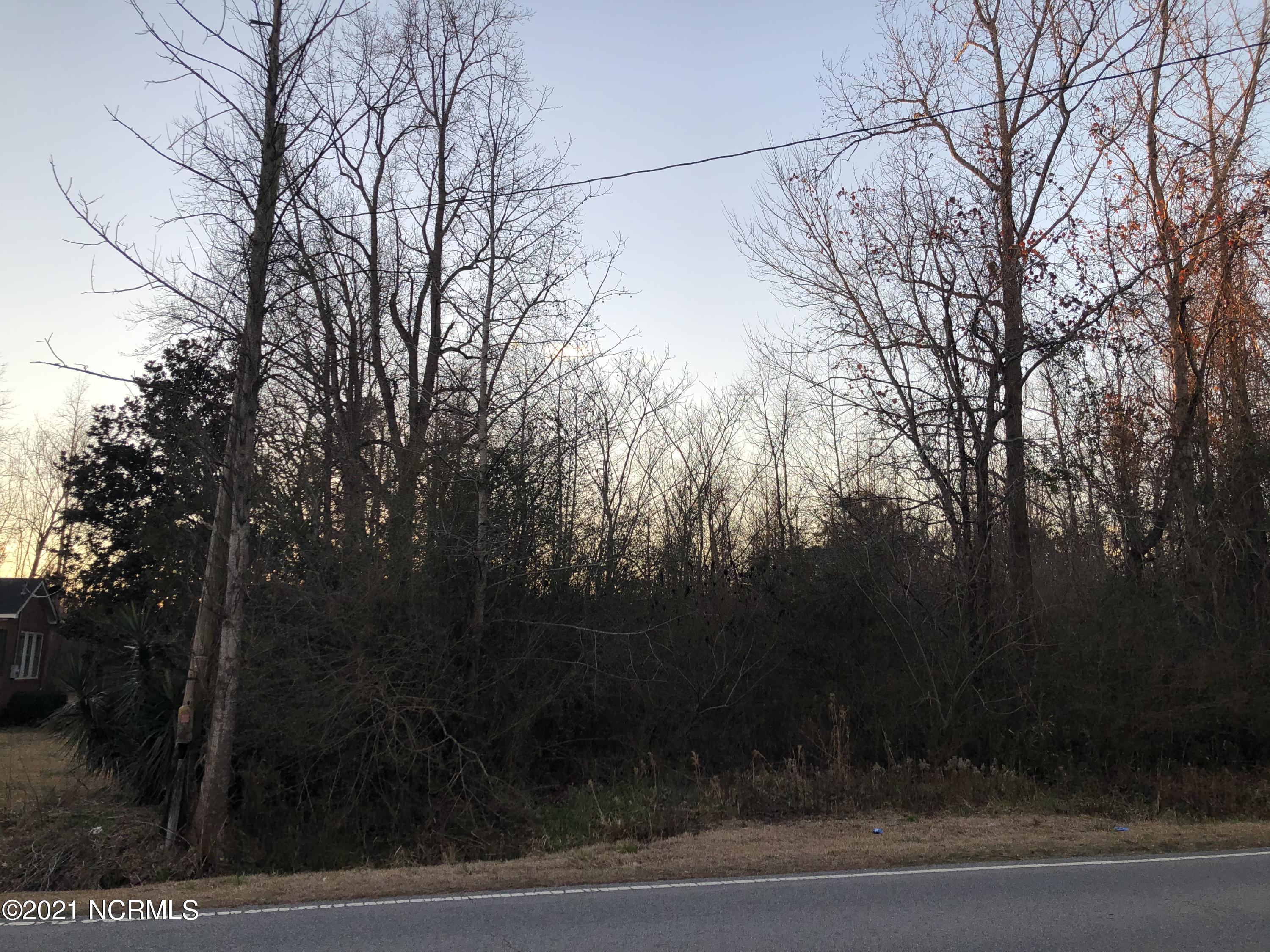 0 Nc 33 Off Edward, NC 27821 - Photo 4 of 4 Lot front Left