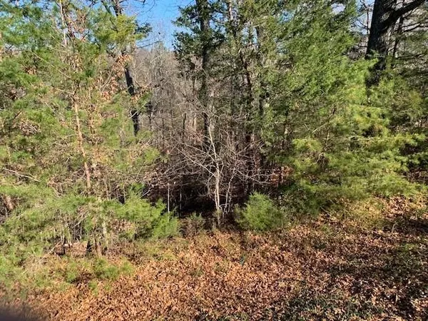 a view of a yard with plants and brick walls