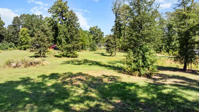 a view of a yard with a tree