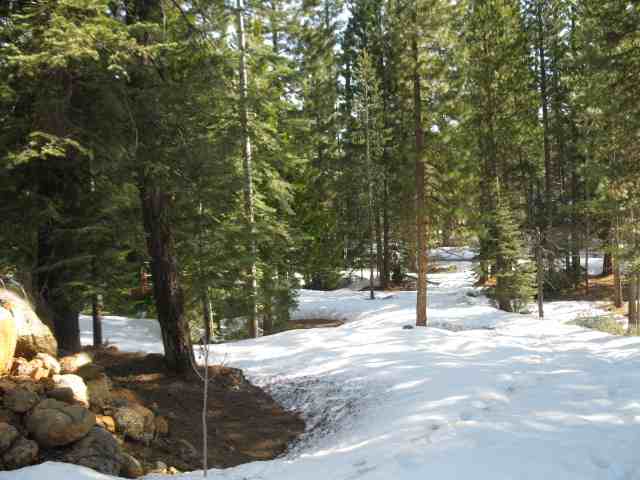 563 Wagon Road Chester, CA 96020 - Photo 5 of 6 Gallery Image 5