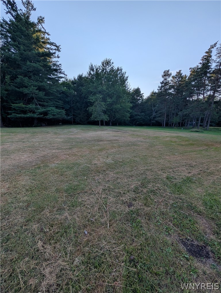 7236 Lower East Hill Road Boston, NY 14033 - Photo 25 of 26