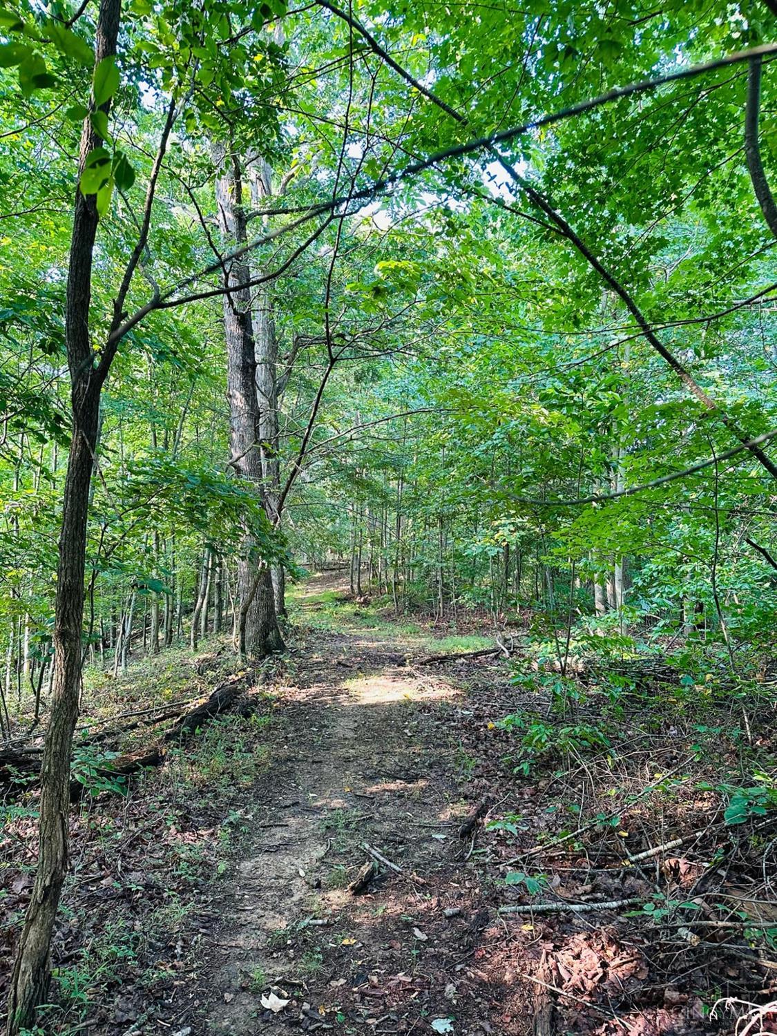 6329 Sunshine Ridge Road Blue Creek, OH 45616 - Photo 44 of 89