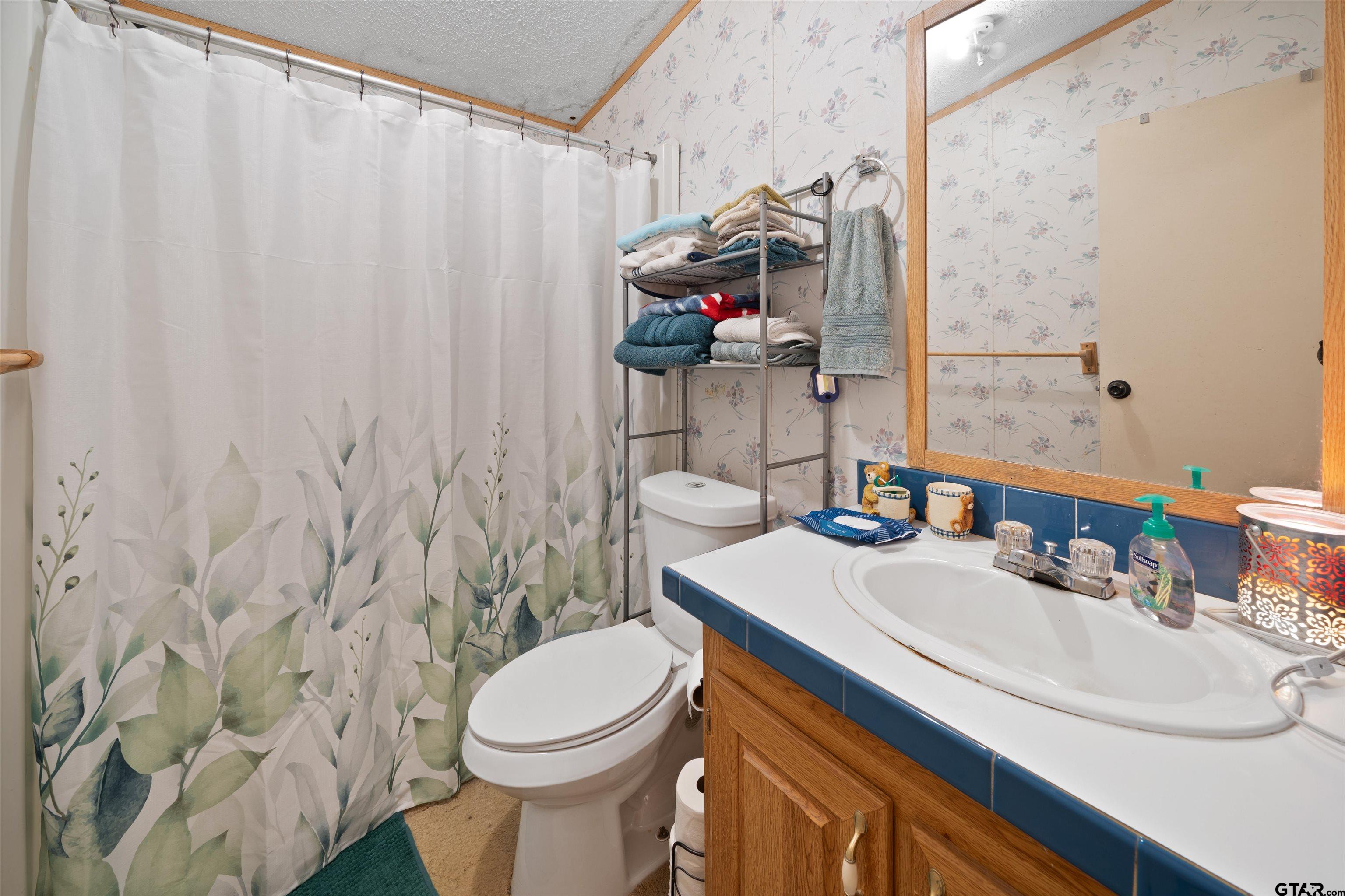 2425 Thompson Lane Tyler, TX 75704 - Photo 18 of 27 a bathroom with a sink a toilet and shower curtain