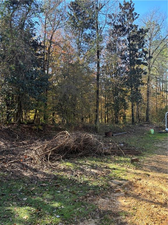 0 Wills Road Pollock, LA 71467 - Photo 1 of 6 Gallery Image 1