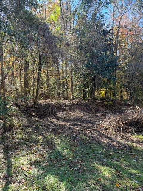 0 Wills Road Pollock, LA 71467 - Photo 2 of 6 Gallery Image 2