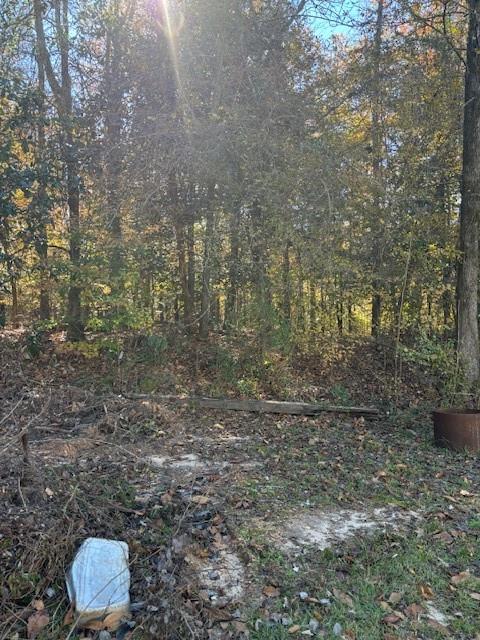 0 Wills Road Pollock, LA 71467 - Photo 4 of 6 Gallery Image 4