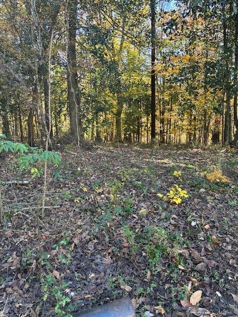 0 Wills Road Pollock, LA 71467 - Photo 6 of 6 Gallery Image 6