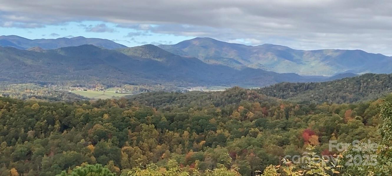 727 Chinquapin Mountain Road Franklin, NC 28734 - Photo 43 of 47