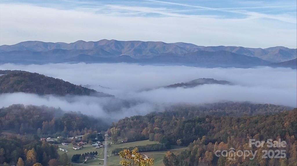 727 Chinquapin Mountain Road Franklin, NC 28734 - Photo 8 of 47 a view of a lush green hillside and a houses