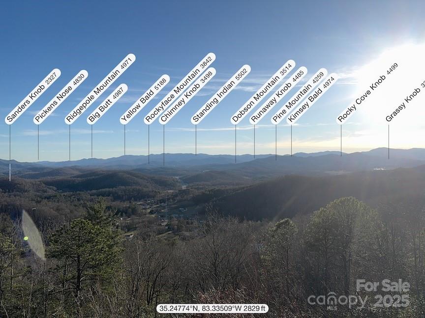 727 Chinquapin Mountain Road Franklin, NC 28734 - Photo 10 of 47