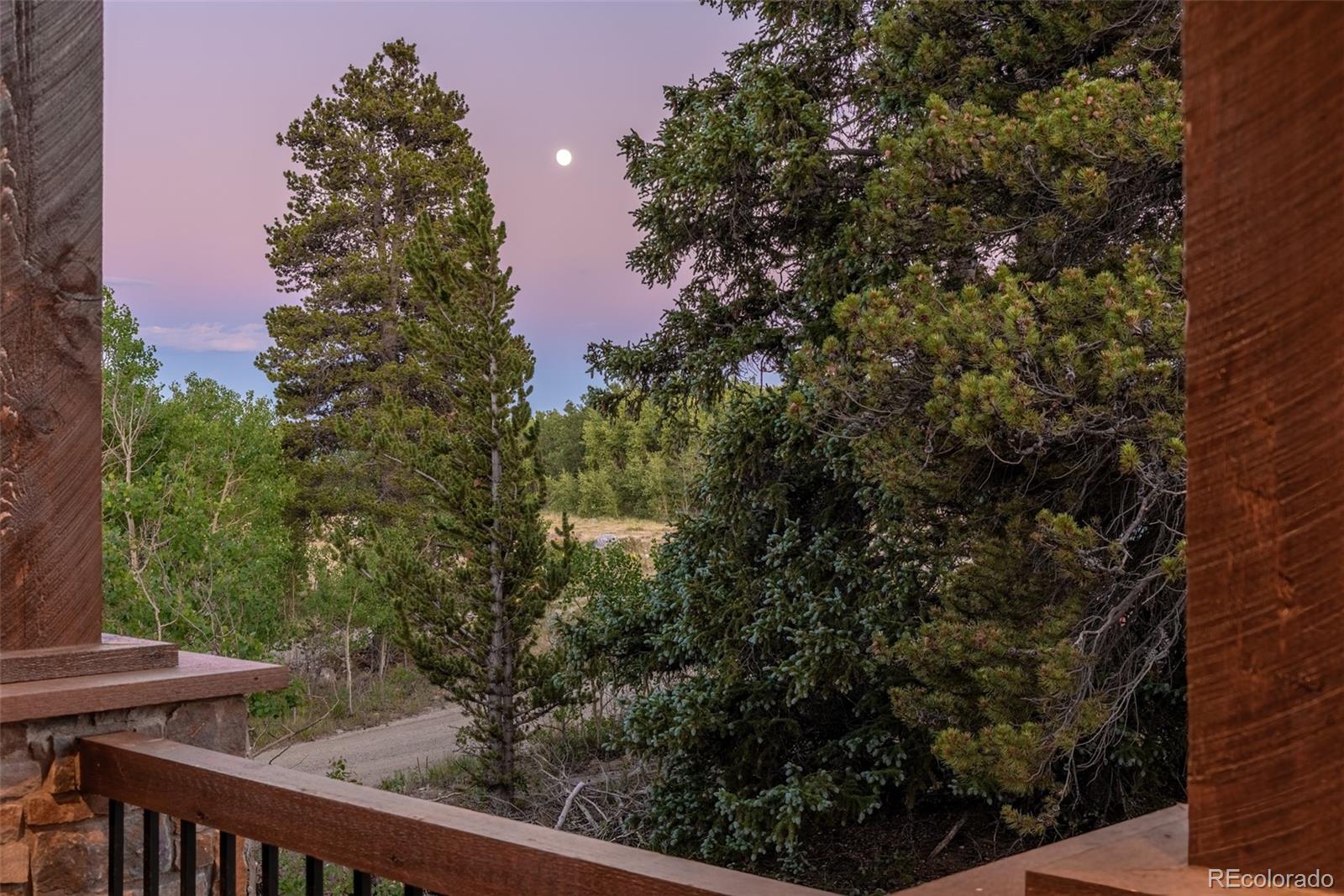 211 Foxtail Court Fairplay, CO 80440 - Photo 44 of 49