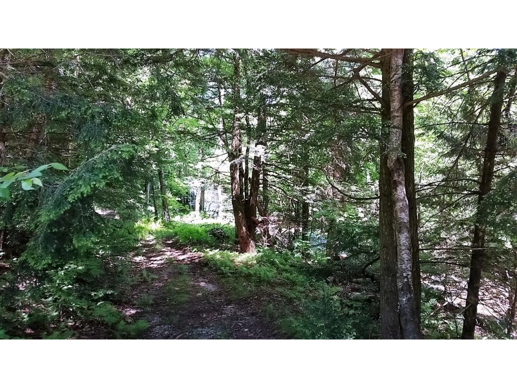 289 South Branch Road Montgomery, VT 05471 - Photo 11 of 13