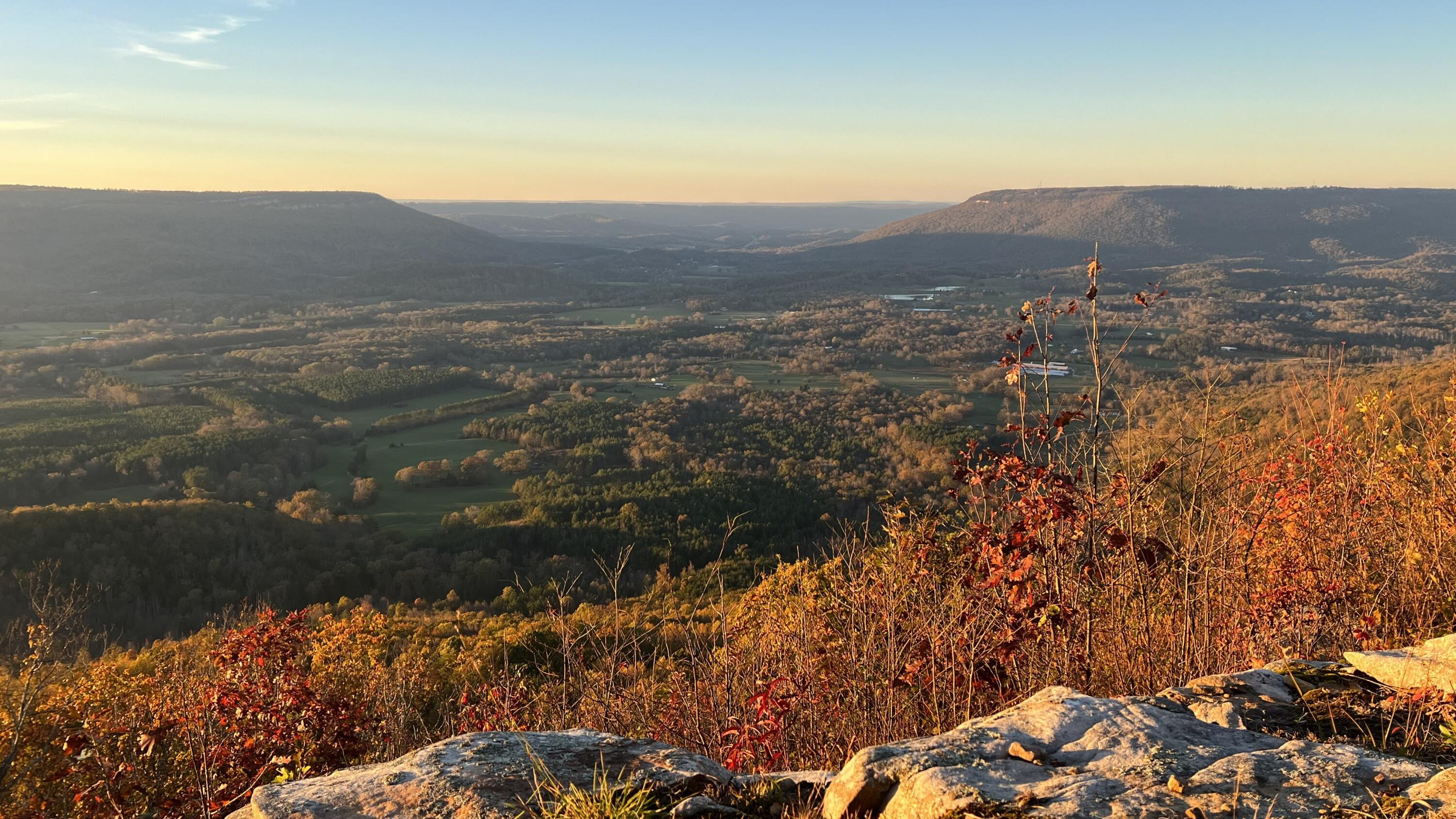 Photo Nov 16 2024, 5 15 10 PM