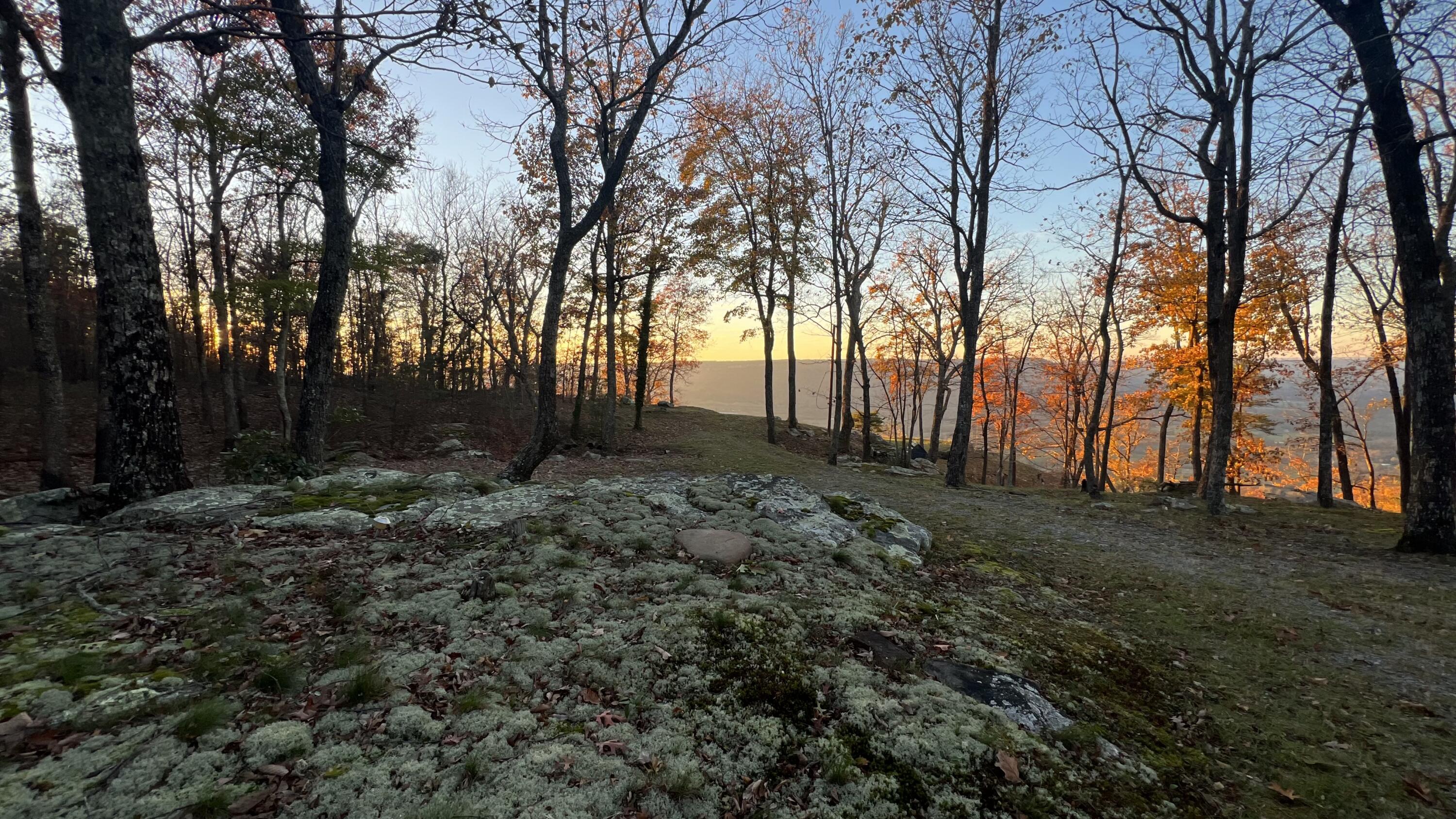 1245 Tatum Gulf Road Menlo, GA 30731 - Photo 25 of 25 Photo Nov 16 2024, 5 20 54 PM