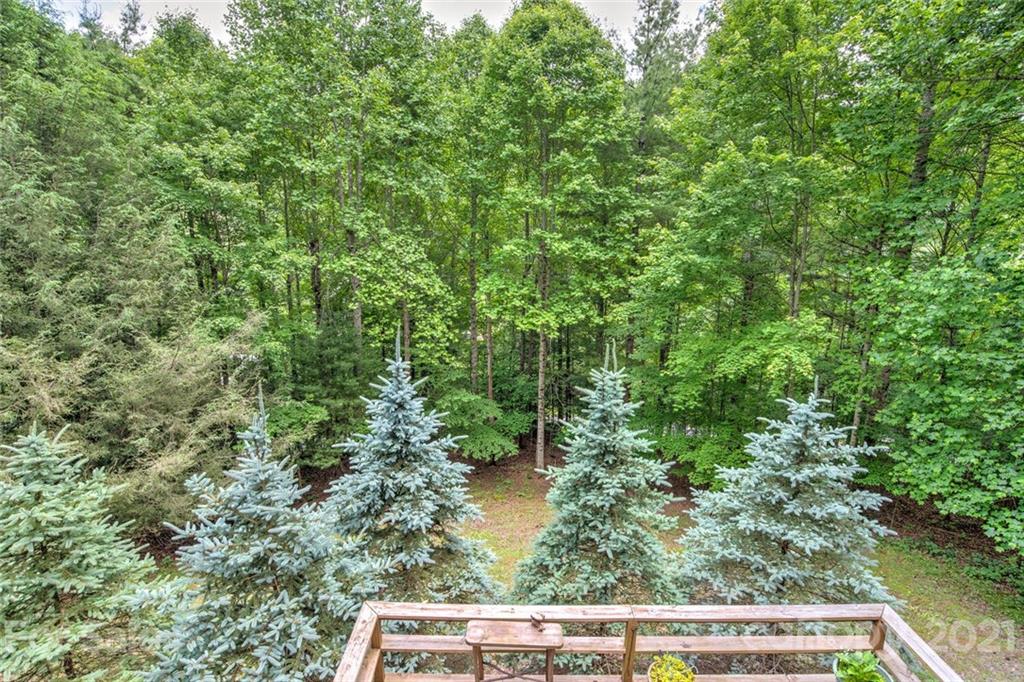 51 Gardenside Road Mars Hill, NC 28754 - Photo 26 of 35 Gallery Image 26