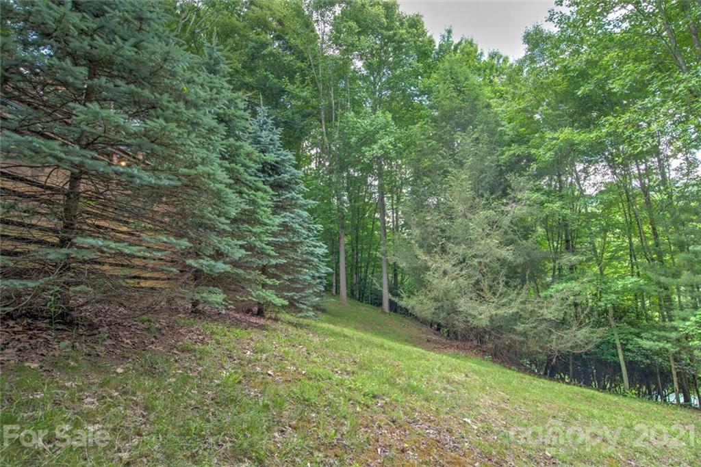 51 Gardenside Road Mars Hill, NC 28754 - Photo 33 of 35 Gallery Image 33